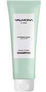 EVAS Шампунь для волос АЮРВЕДА Ayurvedic Scalp Solution Black Cumin Shampoo, 100 мл