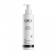 AE Мыло жидкое для комбинированной и жирной кожи / GIGI Aroma Essence Soap, 250мл